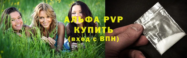 хмурый Нефтекумск