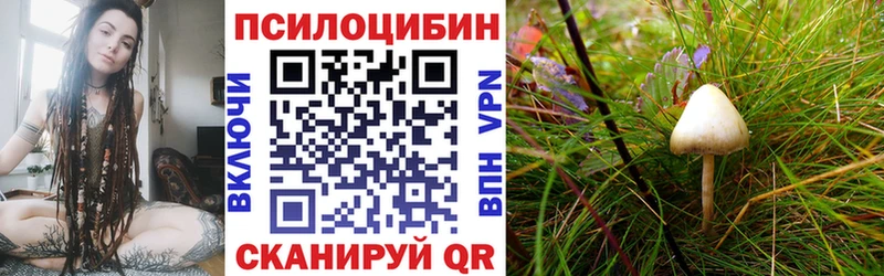 гидра зеркало  Симферополь  Псилоцибиновые грибы Cubensis 